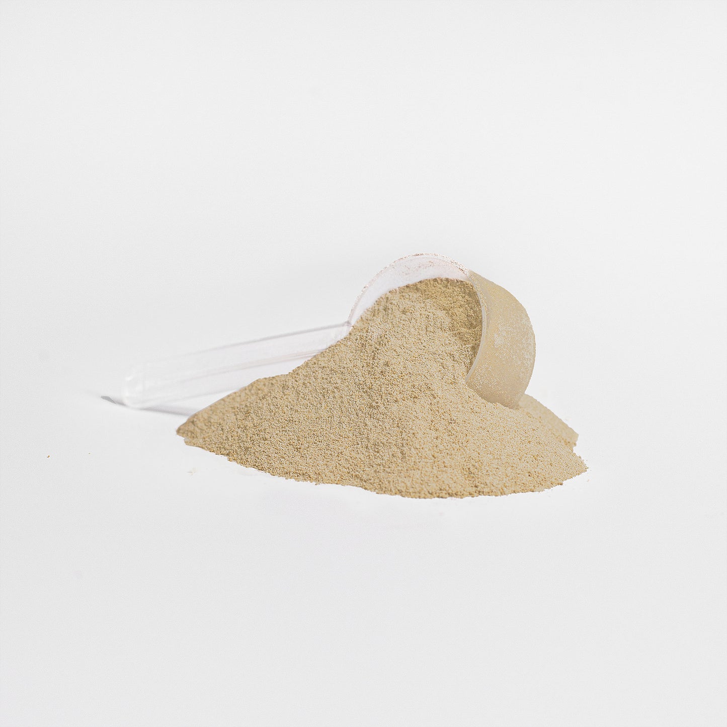 100% Plant Protein (Vanilla)